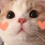 Avatar Daniela Solís