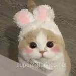 Avatar Esteban Cabrera